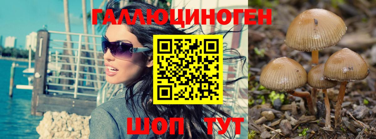 Сатка  Галлюциногенные грибы мицелий  Вход с VPN 