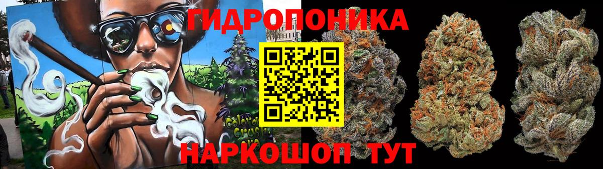 МАРИХУАНА SATIVA & INDICA Сатка